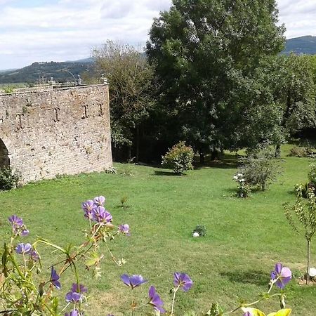 Le Clos De Soulages Gite 2 Pers Palmas Exterior foto